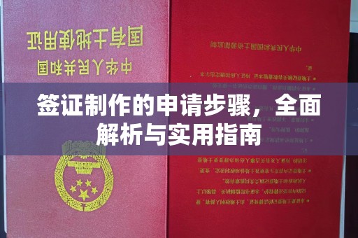 浈江签证制作的申请步骤，全面解析与实用指南