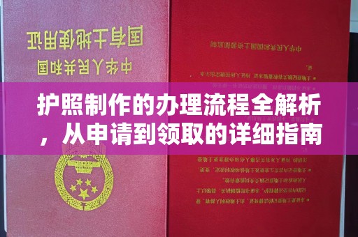 浈江护照制作的办理流程全解析，从申请到领取的详细指南