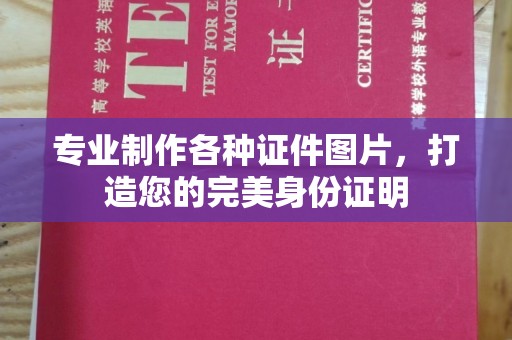 浈江专业制作各种证件图片，打造您的完美身份证明