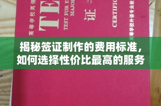 浈江揭秘签证制作的费用标准，如何选择性价比最高的服务？