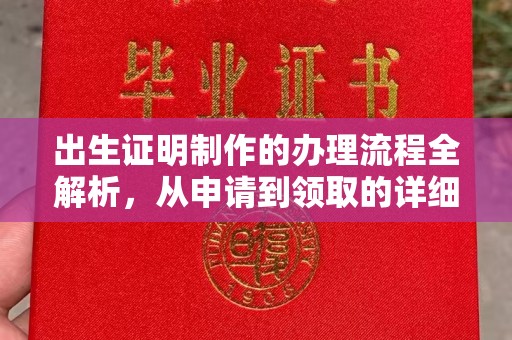 浈江出生证明制作的办理流程全解析，从申请到领取的详细指南