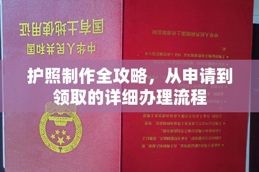 浈江护照制作全攻略，从申请到领取的详细办理流程