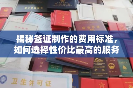 浈江揭秘签证制作的费用标准，如何选择性价比最高的服务？